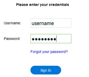 Accesso con la password temporanea