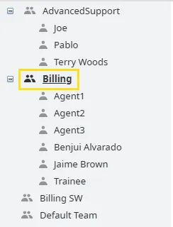 La selezione del team