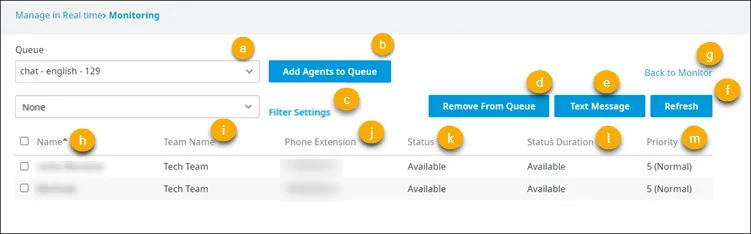 Pagina Manage Queue Agents