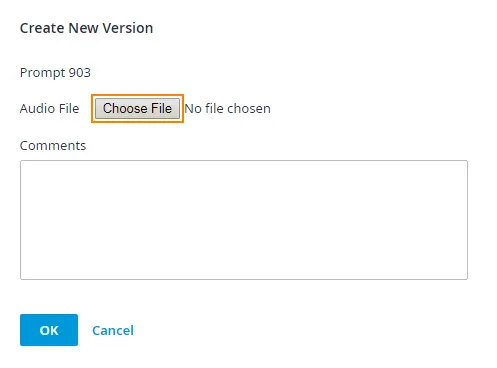 Finestra Create New Version con il pulsante Choose File